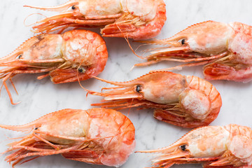 Beautiful fresh shrimps on a light marble background