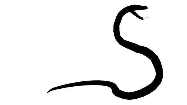 Snake & jungle carpet python attack,sliding decorative non venomous,wild animal herpetology sketch silhouette background.