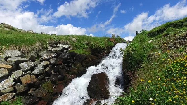 Mountain river in summer season