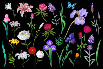 Vector big amazing set of lovely flowers in pastel colors on black background