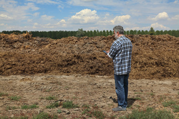 Farmer or agronomist examining heap of cow dung  ready to use in field