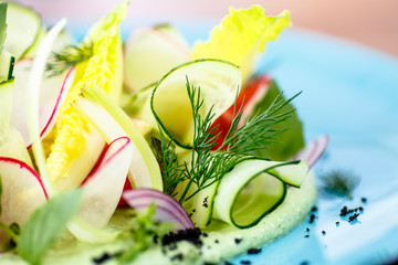 Vegetable salad of cucumbers, tomatoes, radish and celery on a blue plate.