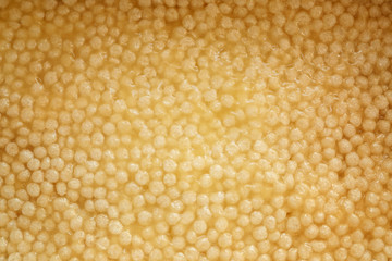 Delicious dessert with crispy rice, closeup