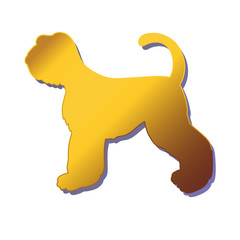 Silhouette of gold dog isolated on white background. Breed schnauzer.