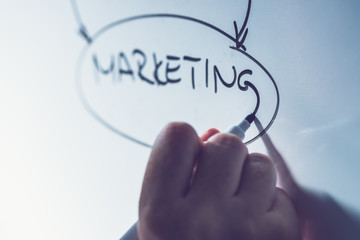 Businesswoman presenting marketing scheme on business presentation