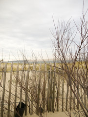 Obraz premium Plage de sable