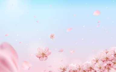 Romantic cherry blossom background © JoyImage
