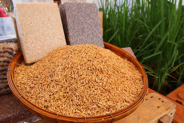 rice seeds in bamboo basket and package  with green rice plant field background.
