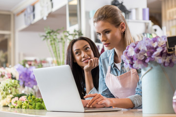young blonde florist in apron using laptop while pensive african american colleague looking away behind