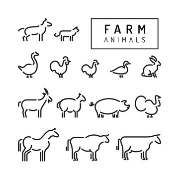 Vector farm animals silhouettes outline isolated on white. Livestock and poultry flat line icons. Set of animals for the design of farm products.