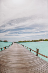 Obraz premium Beautiful white beach with palm trees in the Maldives