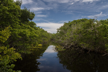 Summer at J.N. ''Ding'' Darling National Wildlife Refuge, Sanibel Island, Florida, USA