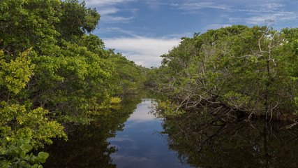 Summer at J.N. ''Ding'' Darling National Wildlife Refuge, Sanibel Island, Florida, USA