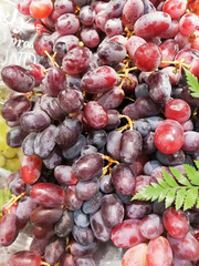 Ripe red grapes bunches on farmer in market Thai