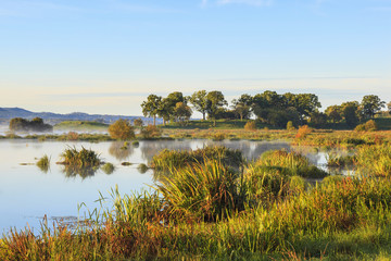 Lake in morning light