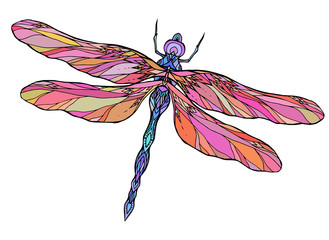 Colorful dragonfly illustration with boho pattern. Vector element for sketching tattoos, printing on T-shirts, postcards and your creativity