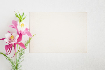 White blank greeting card with flowers on the white background. Empty place for a text.