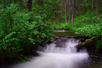 Naklejka premium Silk effect of waterfall in forest of Altai mountains. Menka river, Aktash, Altay Republic, Siberia, Russia.
