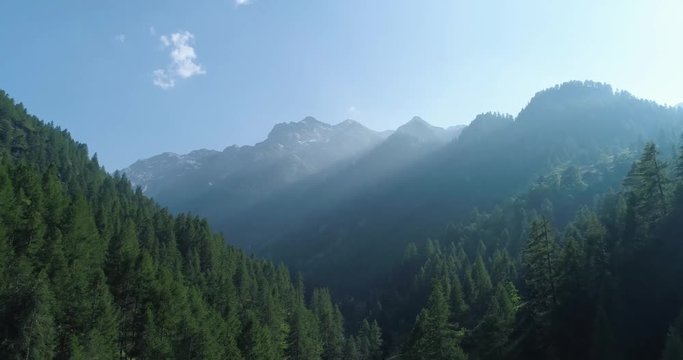 moving forward to  pine woods forest and mountain valley with sun flare in summer day.Europe Italy Alps outdoor green nature scape mountains wild aerial establisher.4k drone flight establishing shot