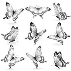 Raamstickers Vlinders zwarte vlinder, geïsoleerd op een witte