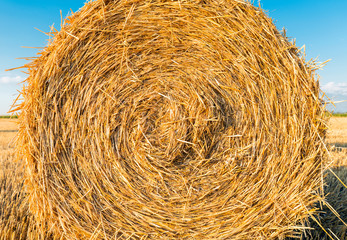 Round hay bale, straw