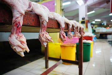 A row of chickens slaughtered in the market.