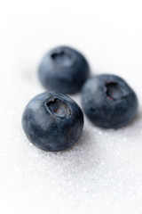 Sweet blueberries isolated over white sugar background.