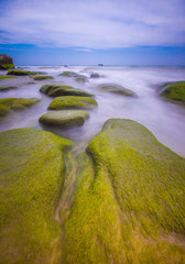 Moss rock on the beach of sabah on 4 may 2017