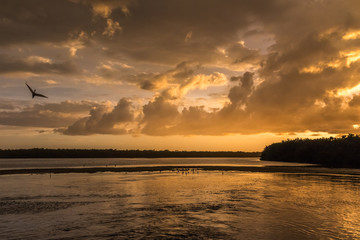Sunset at J.N. ''Ding'' Darling National Wildlife Refuge, Sanibel Island, Florida, USA