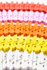 Colorful wooden small pegs lines with selective focus