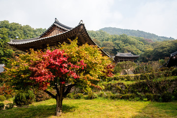 Fototapeta premium Yeongju Buseoksa, South Korea - Buseoksa Temple was built in year 676.