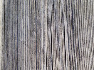 Old wood texture