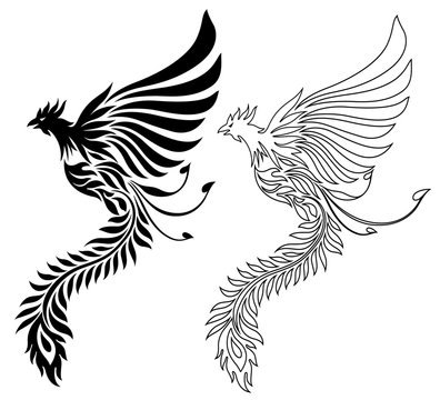 7 Best フェニックス Images Stock Photos Vectors Adobe Stock