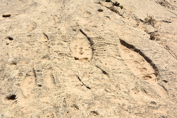 Rock outcrop with ancient petroglyphs depicting fish and boats in Jebel Jassassiyeh in Northern Qatar.