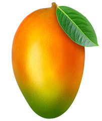 Juicy fresh mango with leaf isolated on a white background. Ripe tropical fruit with antioxidant effect.