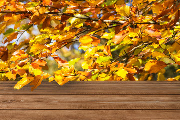Naklejka na ściany i meble Autumn - Wooden background