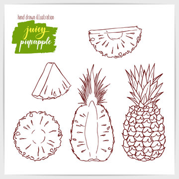 Vector illustration of hand drawn pineapple.