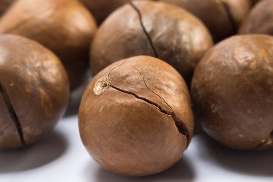macadamia nuts on white background