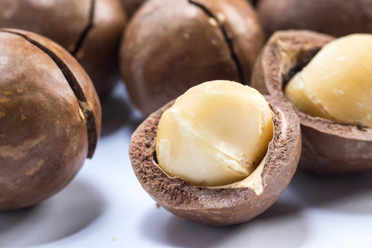 macadamia nuts on white background