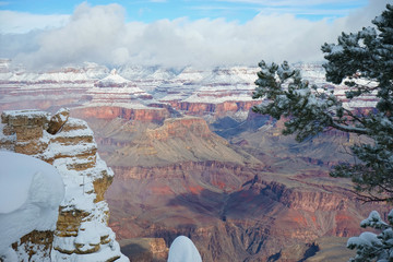 Grand canyon under snow