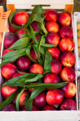 Fresh organic Nektarine  fruits. Frame composition of fruits on market stall close up.