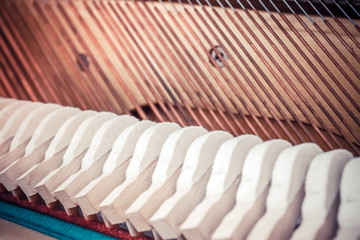 Fototapeta premium a look into the inside of a piano 