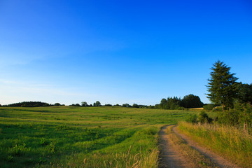 Fototapeta na wymiar Road in field with clouds and sun.