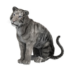 Obraz na płótnie Canvas 3D Rendering White Tiger on White