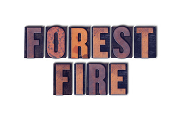 Forest Fire Concept Isolated Letterpress Word