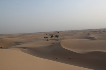 Abu Dhabi desert