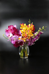 Colorful Orchid Flower