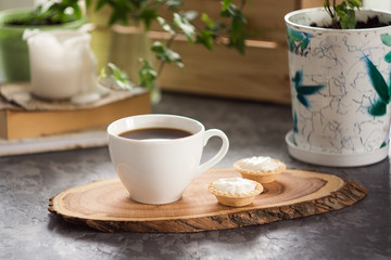 fresh breakfast with hot coffee and book in morning sunlight