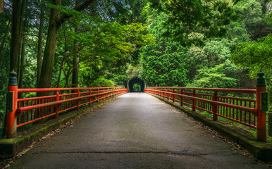 Fototapeta premium 京都 落合橋