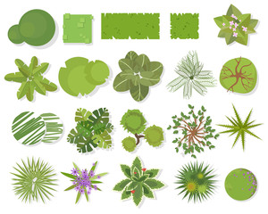 Trees top view.Different trees, plants  vector set for architectural or landscape design.Landscaping symbols set isolated on white